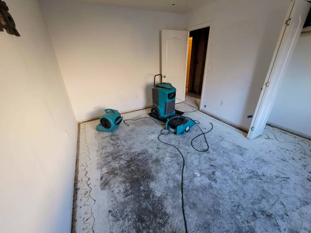 Best Basement water damage restoration  in Rose Hill, NC