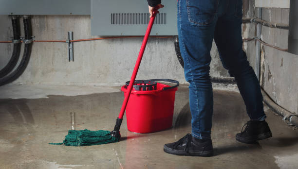 Best Water damage cleanup near me  in Rose Hill, NC