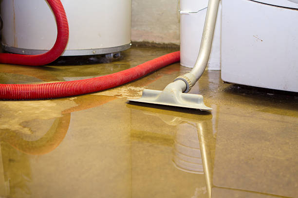 Best Sewage cleanup and water damage restoration  in Rose Hill, NC