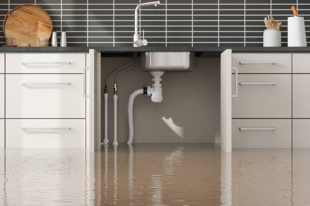Best Water damage restoration mold remediation  in Rose Hill, NC
