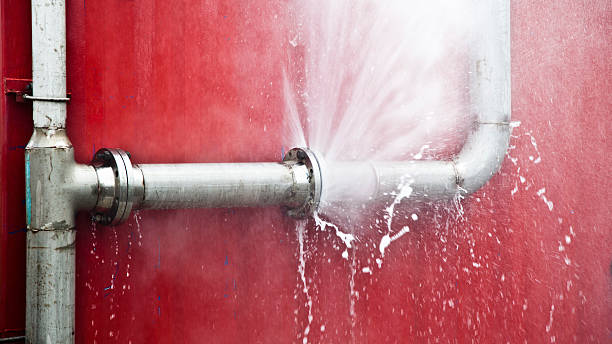Best Flood damage cleanup  in Rose Hill, NC